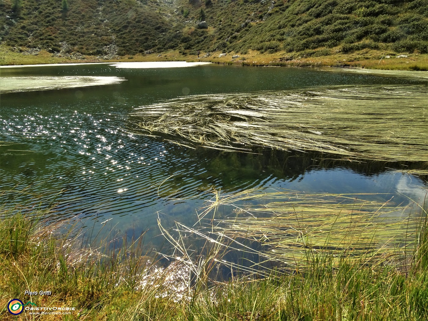 40 Lago 'piccolo' ricoperto per buona parte da erbe acquatiche.JPG